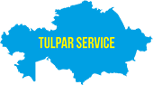 Логотип Tulpar Service